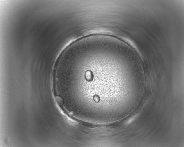 X0000066100999200603131225