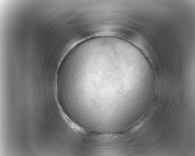 X0000066101000200603131225