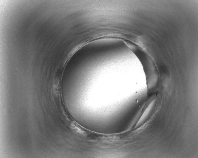 X0000066101001200603131225