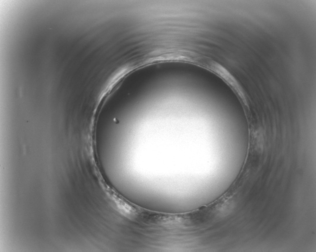 X0000066101002200603131225