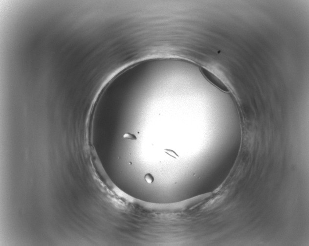 X0000066101004200603131225