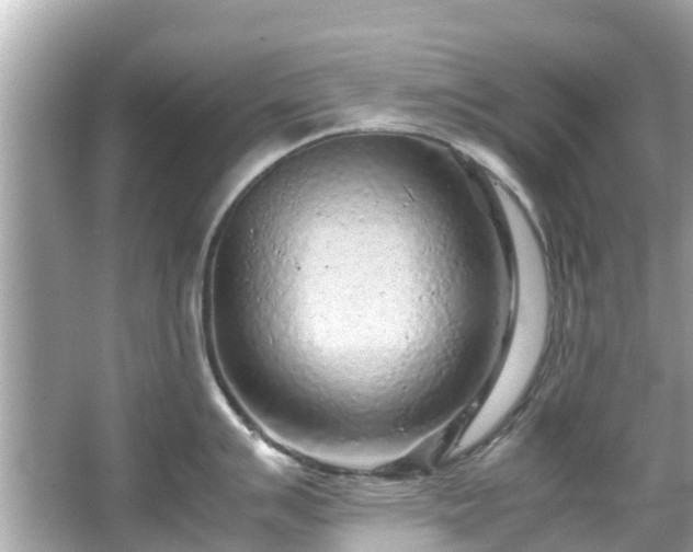 X0000066101007200603131225