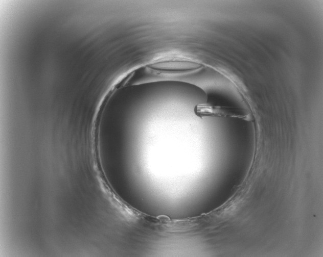 X0000066101008200603131225