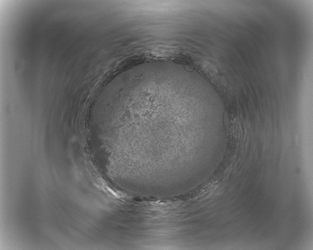 X0000066101009200603131224