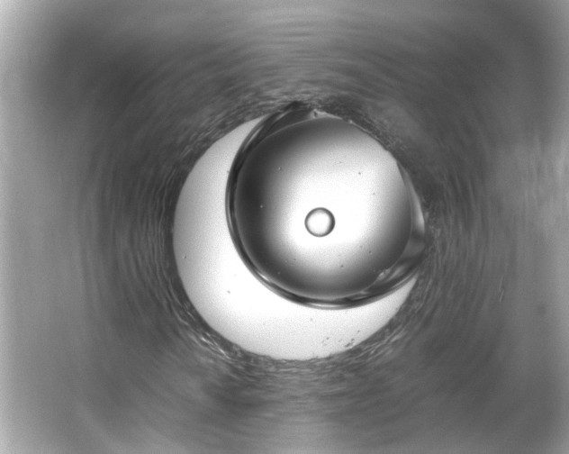 X0000066101010200603131224