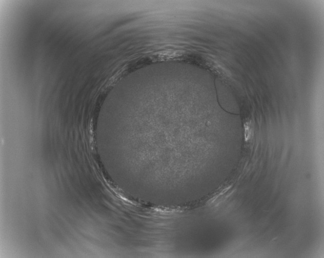 X0000066101011200603131224