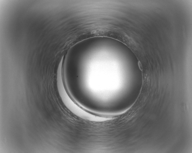 X0000066101012200603131224