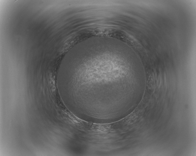 X0000066101013200603131224