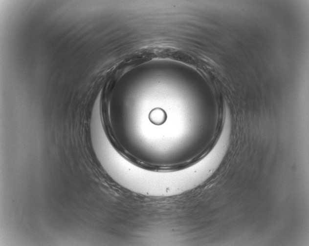 X0000066101014200603131224