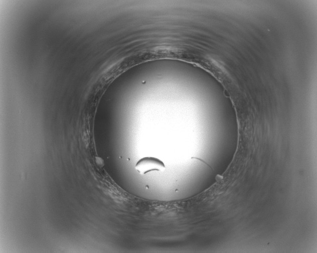 X0000066101015200603131224