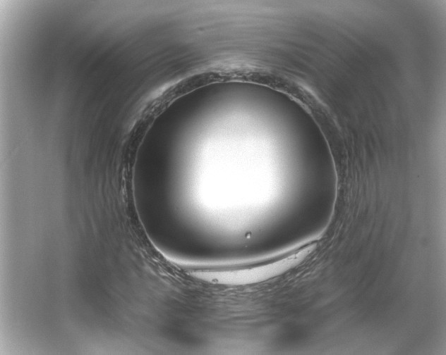 X0000066101016200603131224