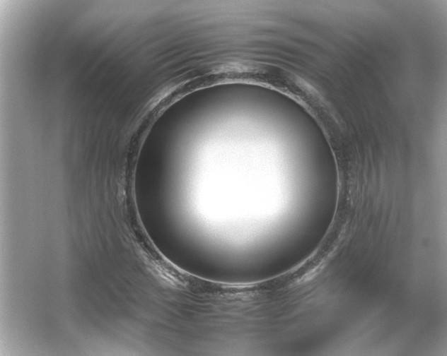 X0000066101017200603131224