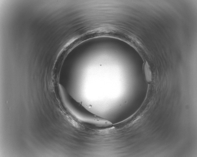 X0000066101018200603131224