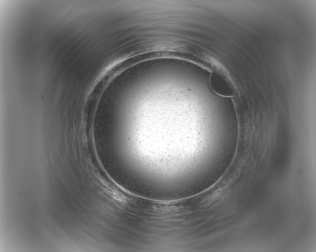 X0000066101019200603131224