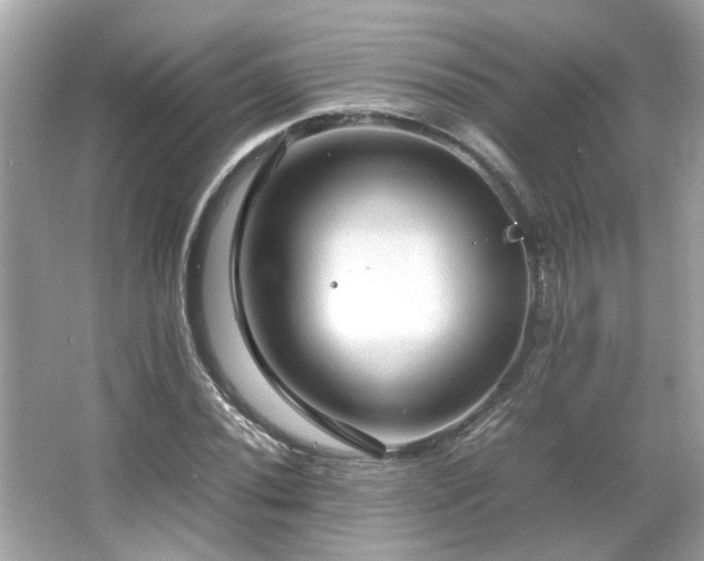 X0000066101020200603131224