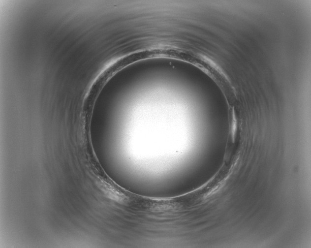 X0000066101021200603131224