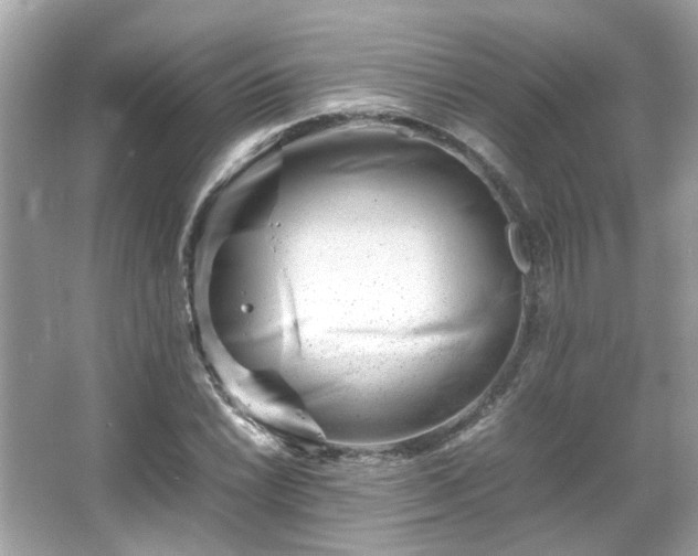 X0000066101022200603131224