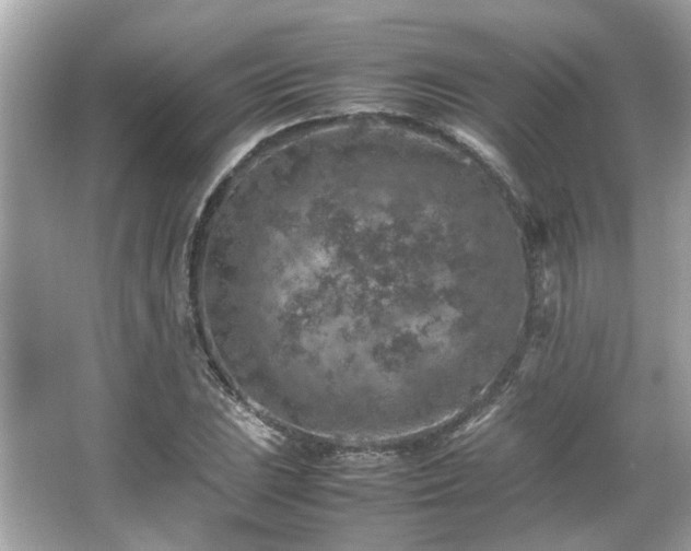 X0000066101023200603131224