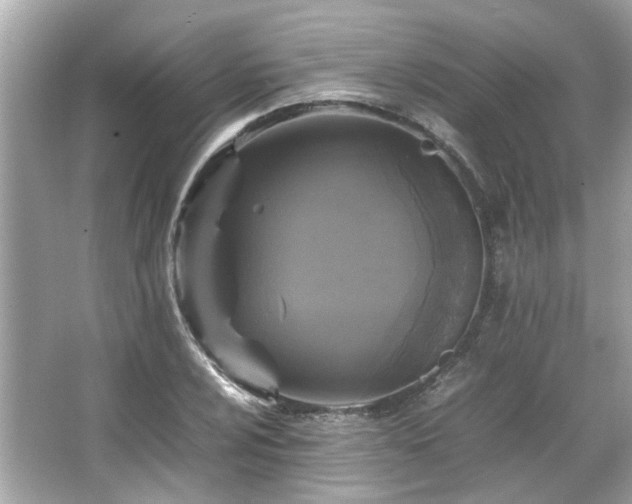 X0000066101024200603131224