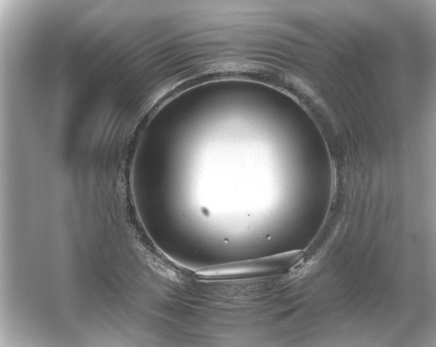 X0000066101025200603131224