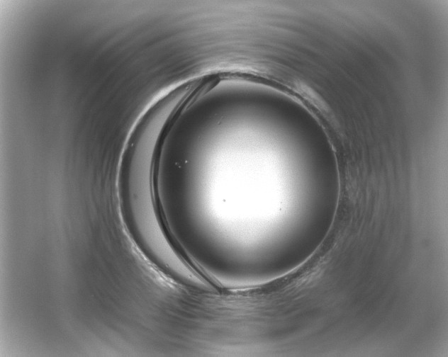 X0000066101028200603131224