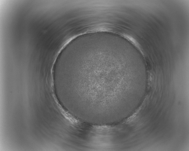 X0000066101031200603131224