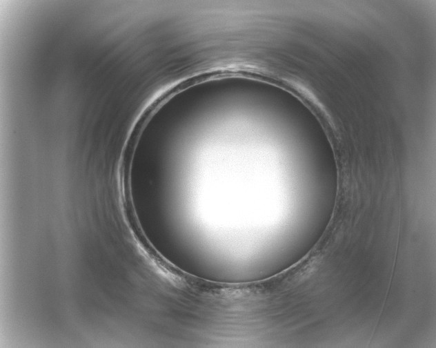 X0000066101032200603131224