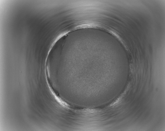 X0000066101034200603131224