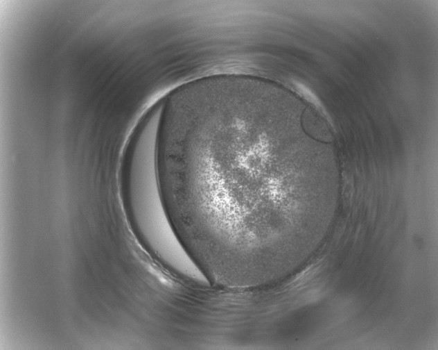 X0000066101035200603131224