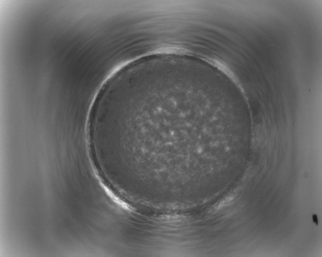 X0000066101037200603131224