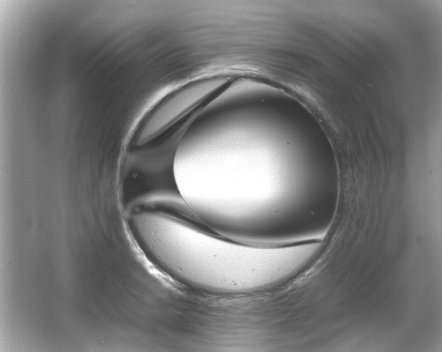 X0000066101038200603131224