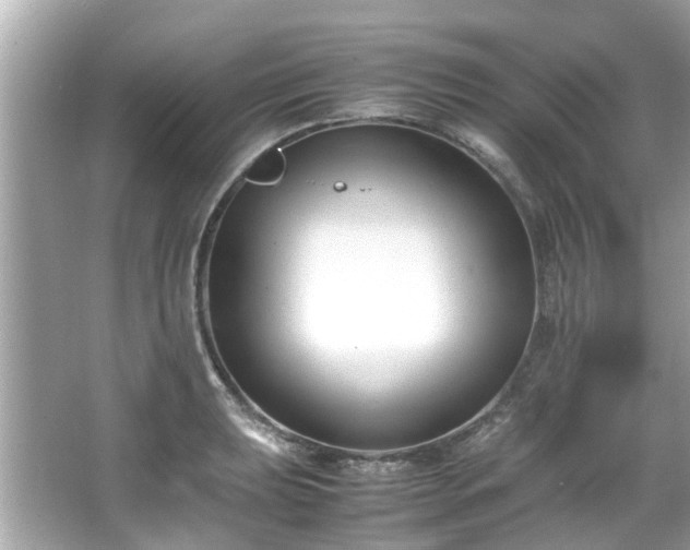 X0000066101039200603131224