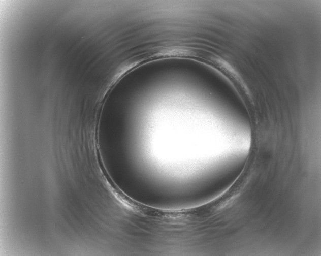 X0000066101041200603131225