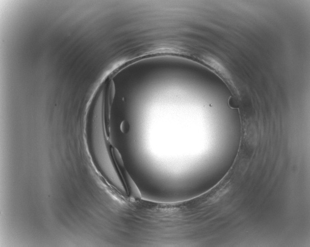 X0000066101043200603131225