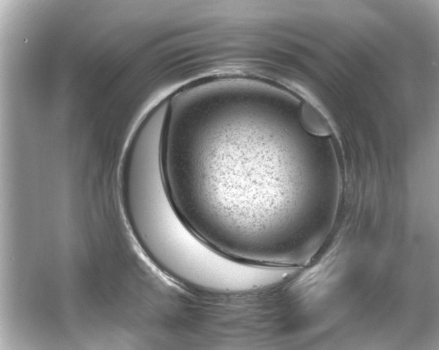 X0000066101045200603131225