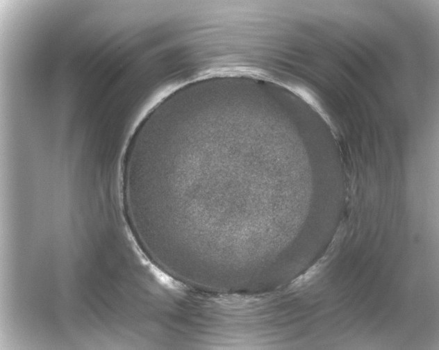 X0000066101046200603131225