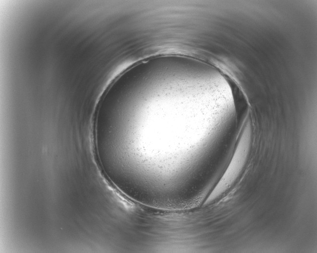 X0000066101048200603131225