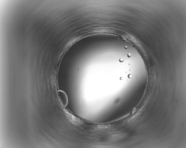 X0000066101049200603131225