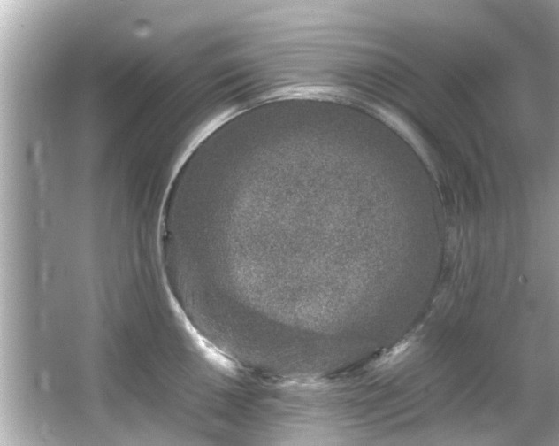 X0000066101050200603131225