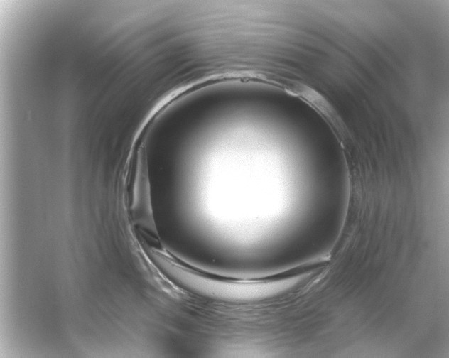 X0000066101052200603131225