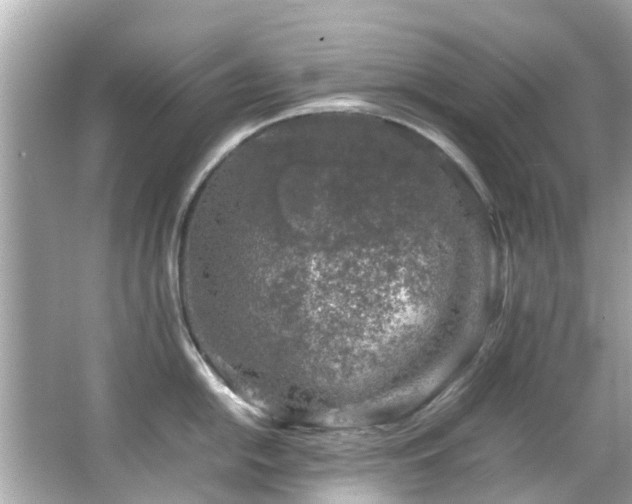 X0000066101054200603131225