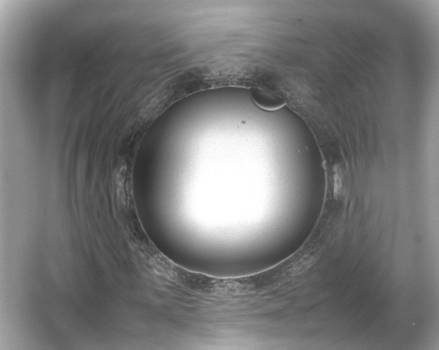 X0000066101059200603131224