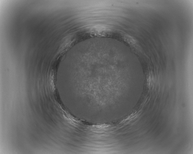 X0000066101060200603131224