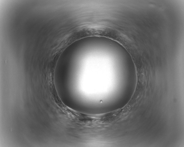 X0000066101061200603131224