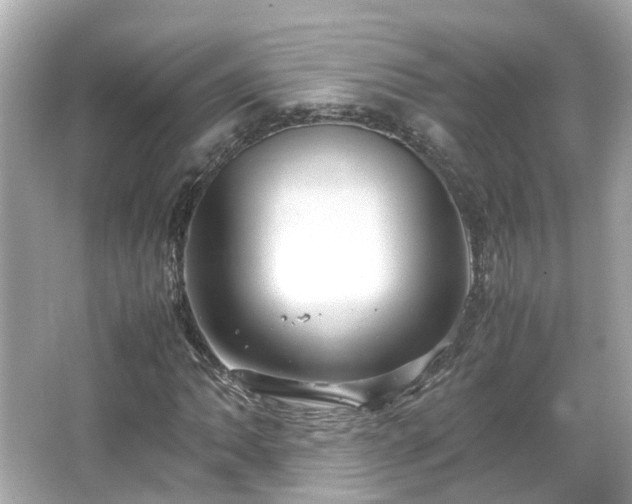 X0000066101062200603131224