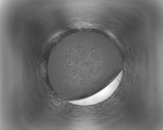 X0000066101063200603131224