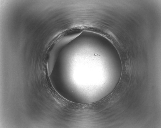 X0000066101064200603131224