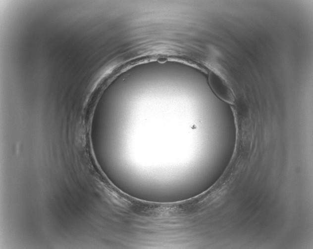 X0000066101067200603131224