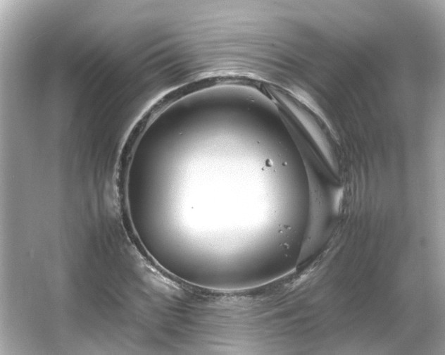 X0000066101068200603131224