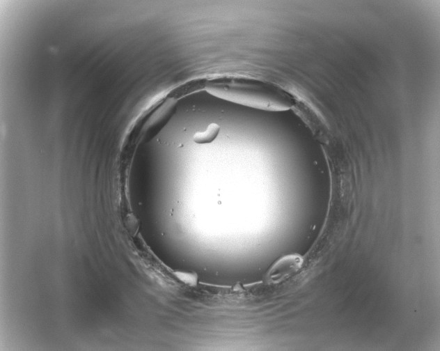 X0000066101069200603131224